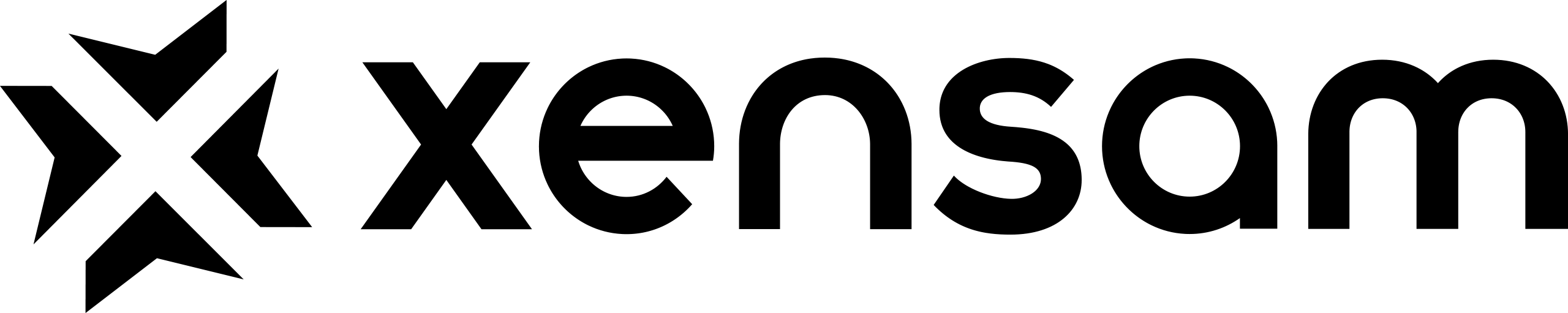 Xensam Logo
